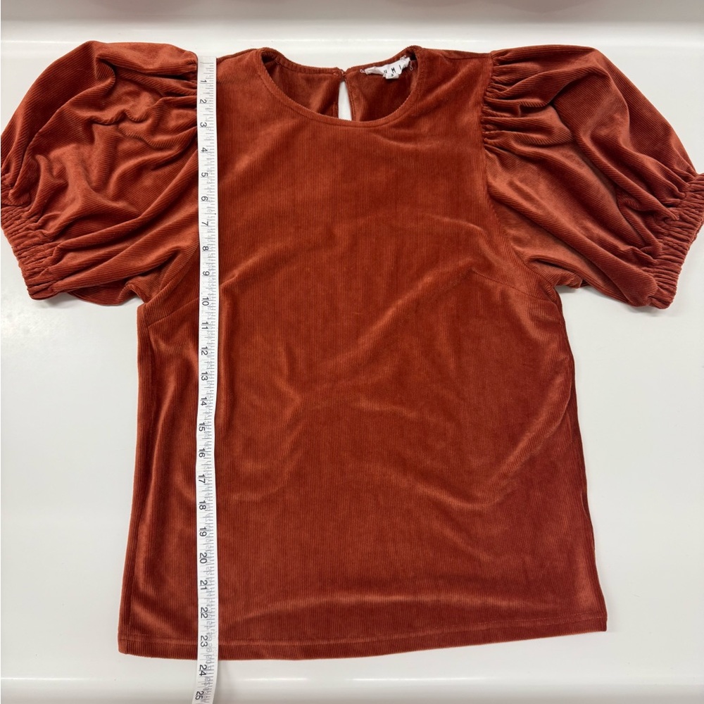 THML Rust Puff Sleeve Velvet Top – Size S - Picture 4 of 6